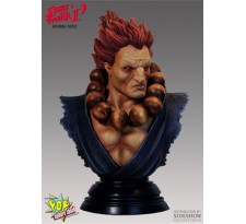 Street Fighter Bust Akuma 25 cm --- DAMAGED PACKAGING